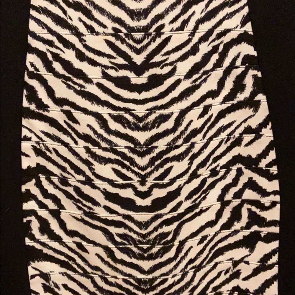 Express Dress - Picture 2 of 6